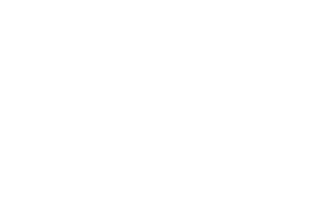 Logo Pulizie Fiori